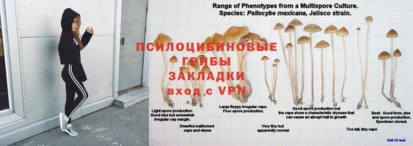 марихуана Алексин