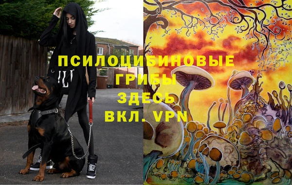 меф Покровск